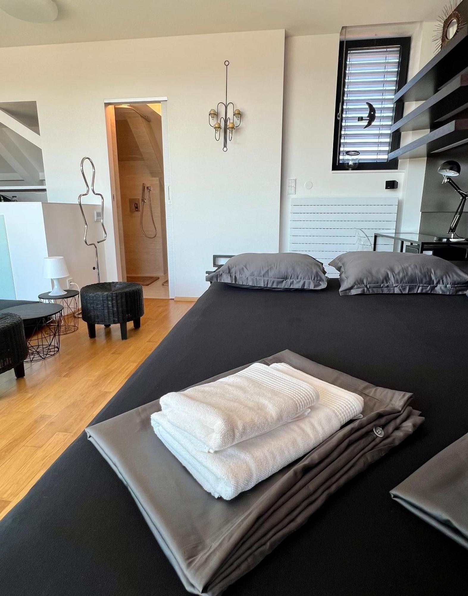 Apartman Se Saunou A Terasou S Vyhledem Na Бърно Екстериор снимка